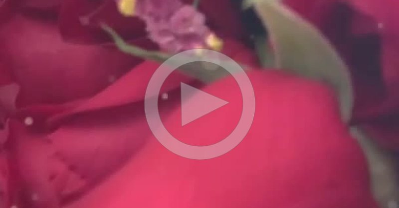 Escort Independiente Nati  Retiro