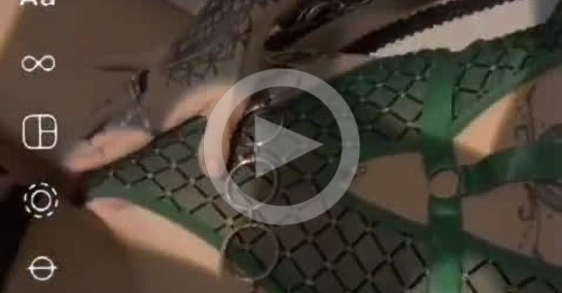 Escort Independiente Alegra  Recoleta