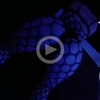 Video Escort Cielo BG